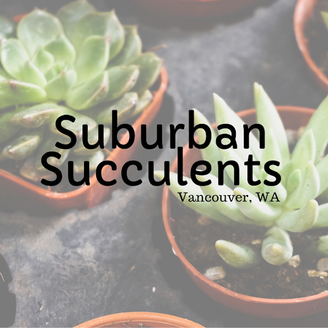 SuburbanSucculents_Logo_Square SuburbanSucculents_Logo_Square